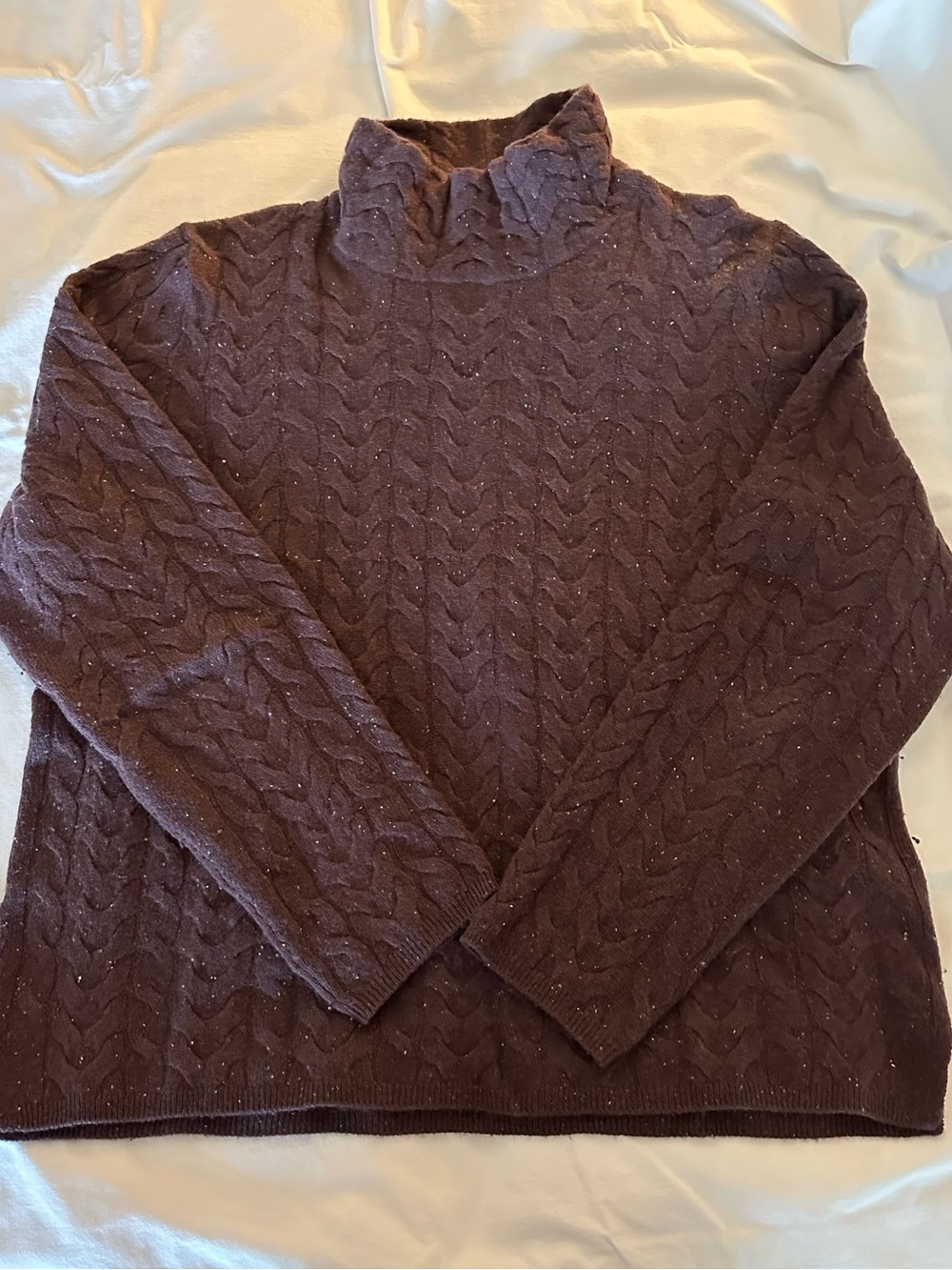 Garnet Hill Women’s Dark Plum Cable Turtleneck Sweater